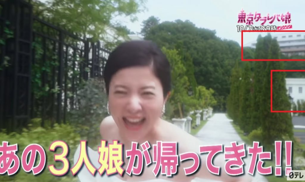 東京タラレバ娘2020
